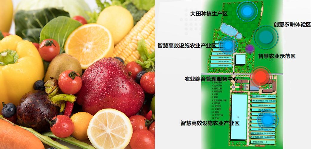 园区运营管理及品牌打造
